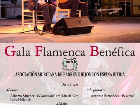 Gala_Flamenca_amupheb_